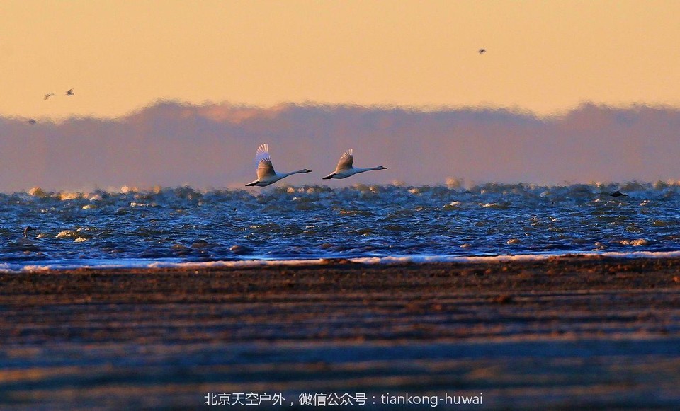 点击图片，划动大图欣赏