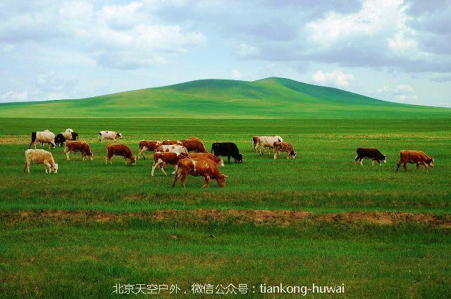 点击图片，划动大图欣赏