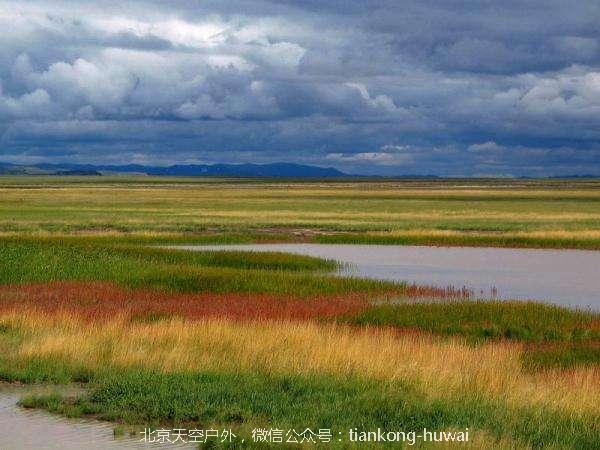 点击图片，划动大图欣赏