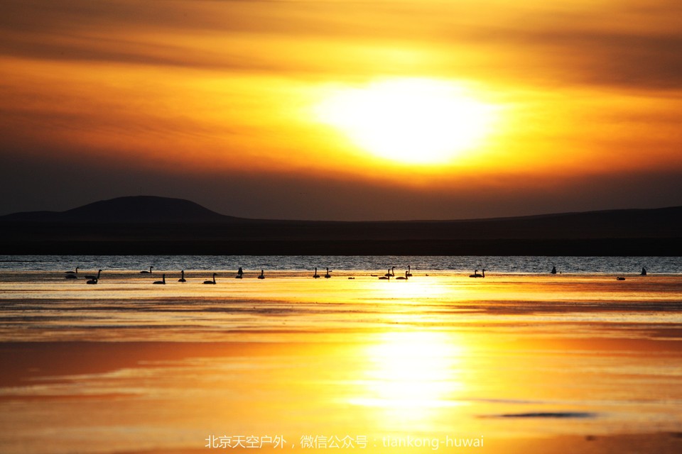 点击图片，划动大图欣赏