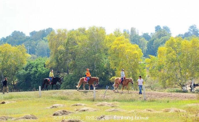 点击图片，划动大图欣赏