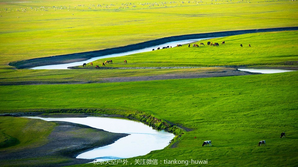 点击图片，划动大图欣赏