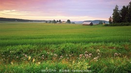 点击图片，划动大图欣赏