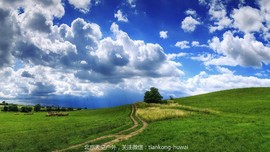 点击图片，划动大图欣赏