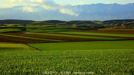 点击图片，划动大图欣赏