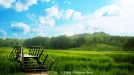 点击图片，划动大图欣赏