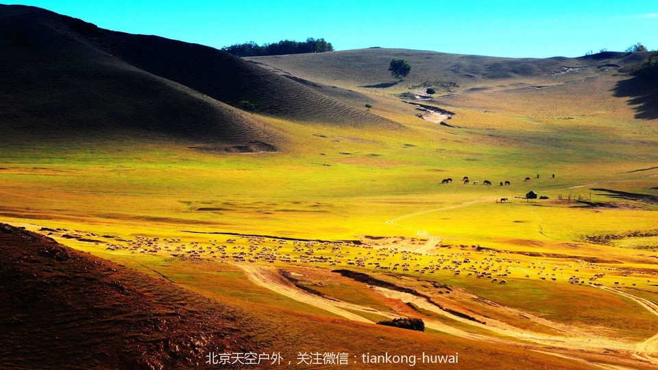 点击图片，划动大图欣赏