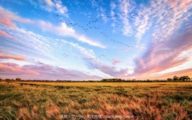 点击图片，划动大图欣赏