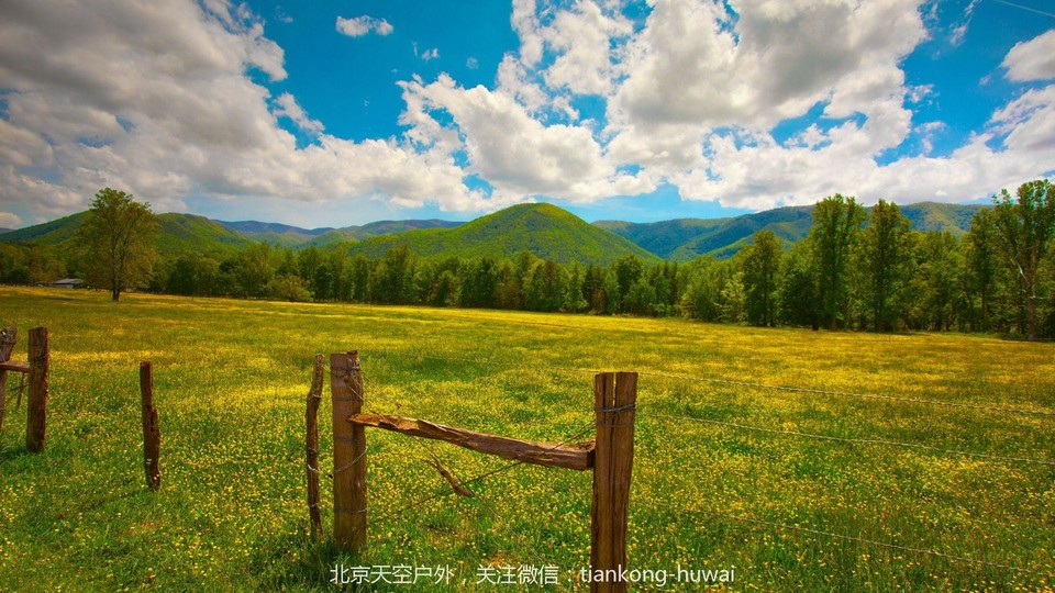 点击图片，划动大图欣赏