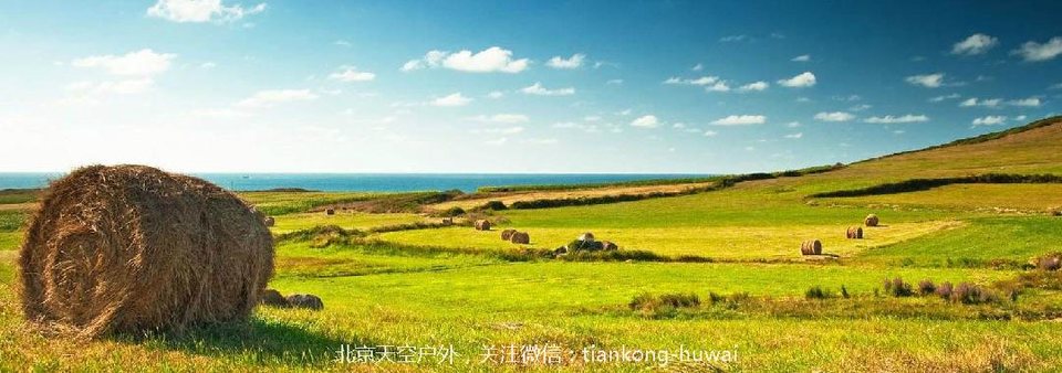 点击图片，划动大图欣赏