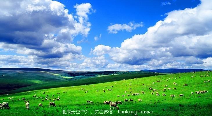 FvBTxqFWmwYIScTXT1DzSbQhOmqa.jpg!730x0