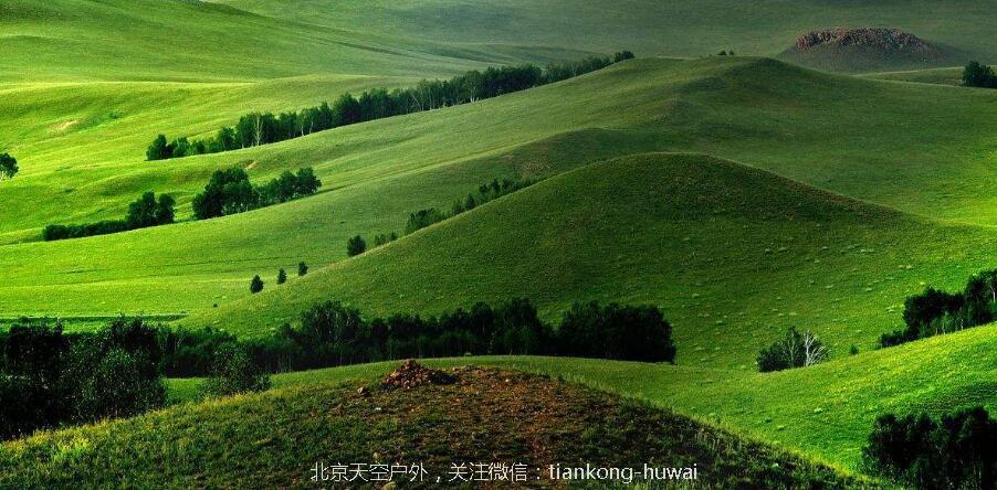 TIM截图20180726152633