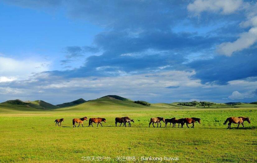 TIM截图20180726152643