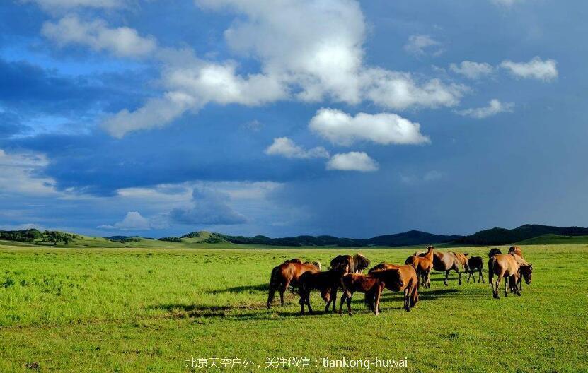 TIM截图20180726152655