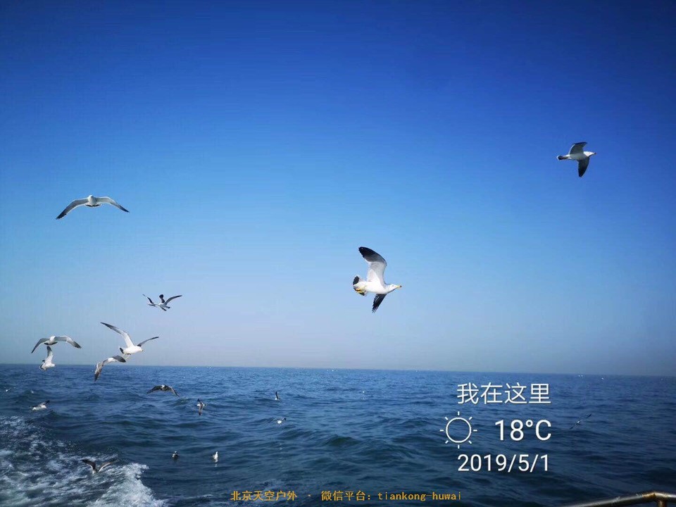 0b010e33a15045237531c13e5dc8042