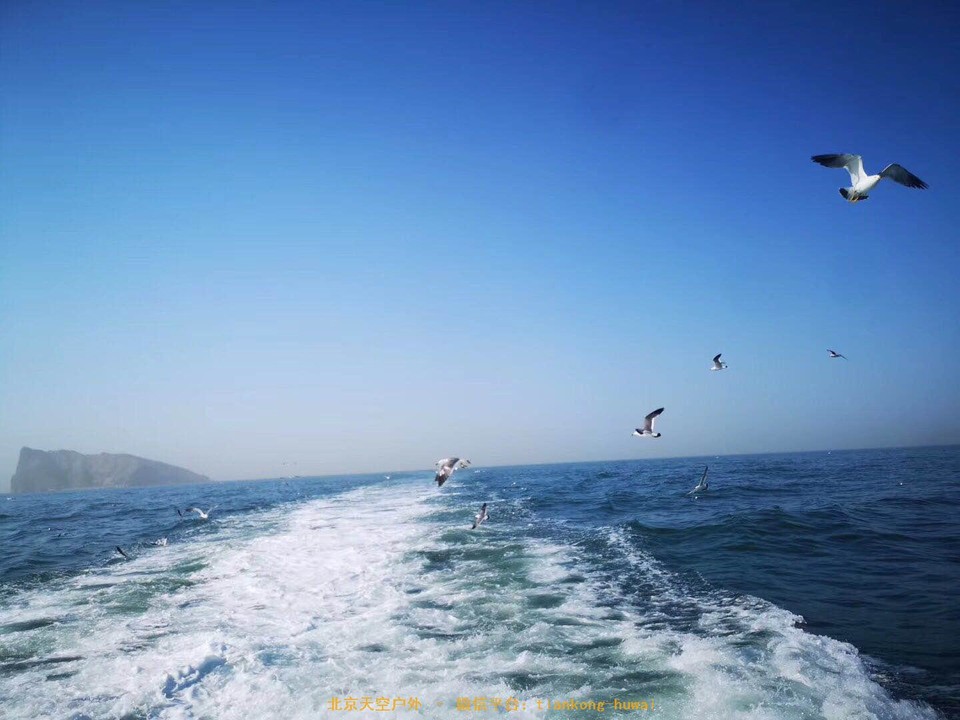 6dce1ba9b3e996221e68ae0019718f3