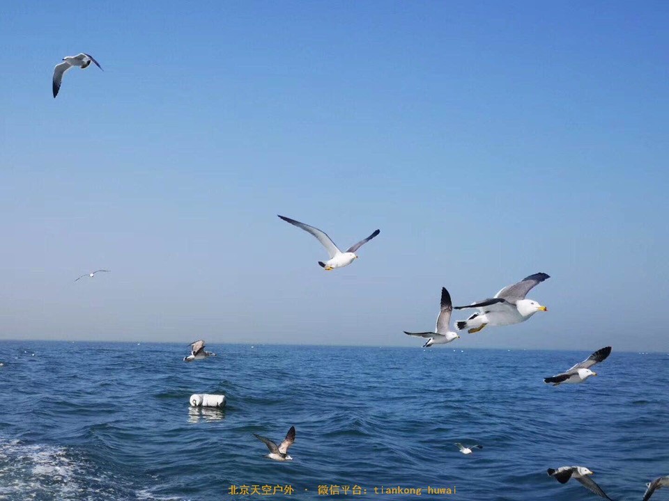 20c3427122ece6150669b9389cd44d2