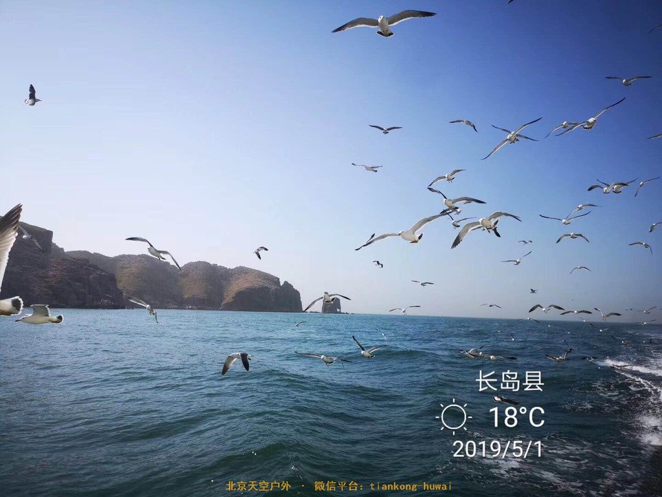 bfb578705fa7a09061f8e77529bf75a