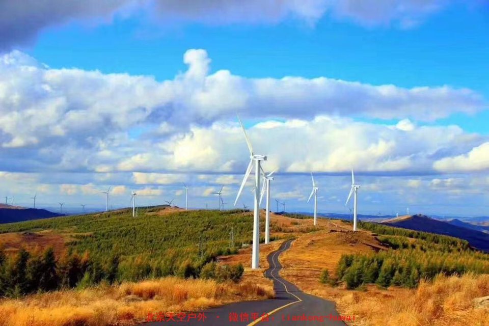 0a566a22b1e55d3e555c09ea50ef665