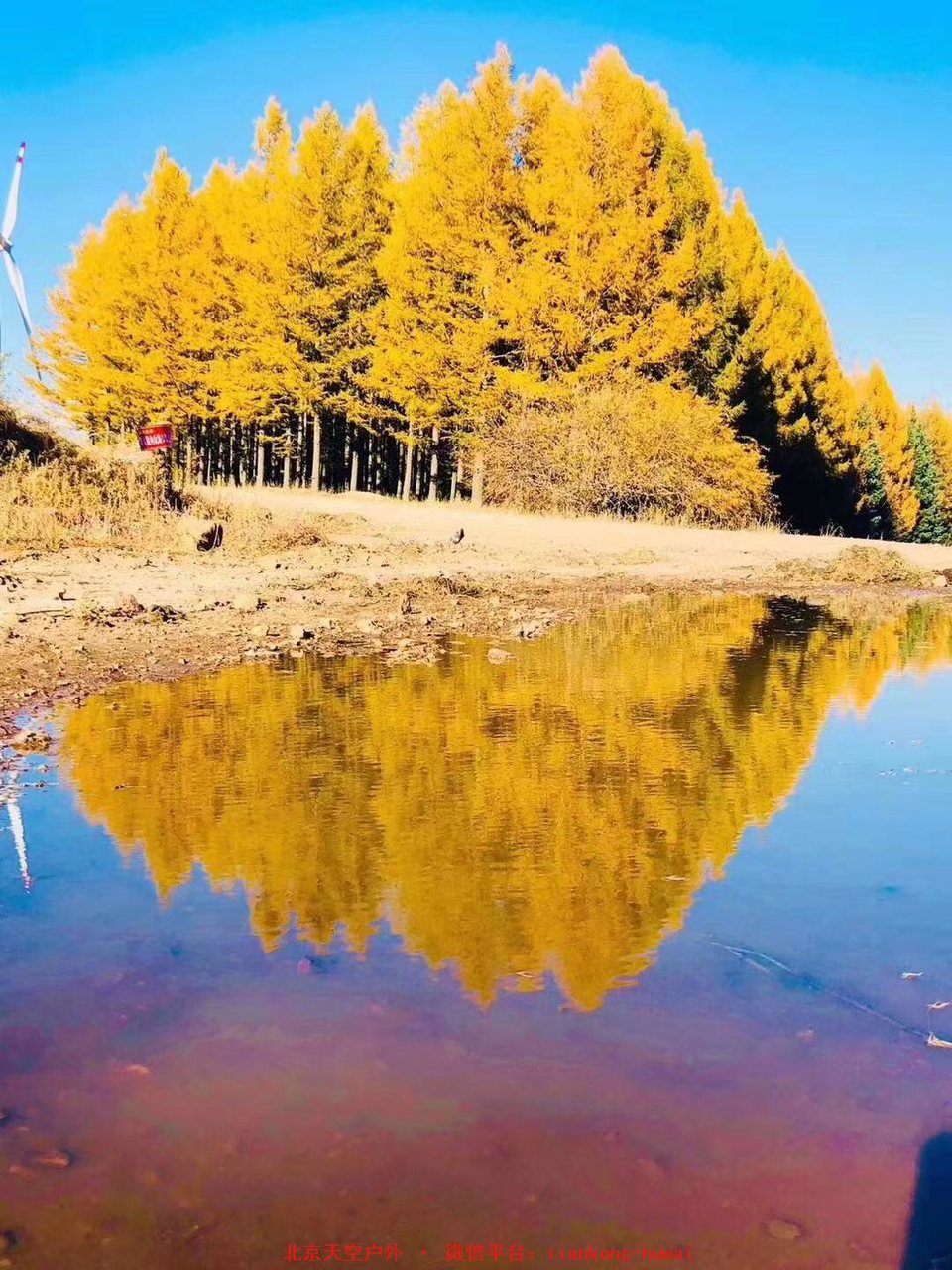 3ac1a09257c0f7da66e5297ea017c83