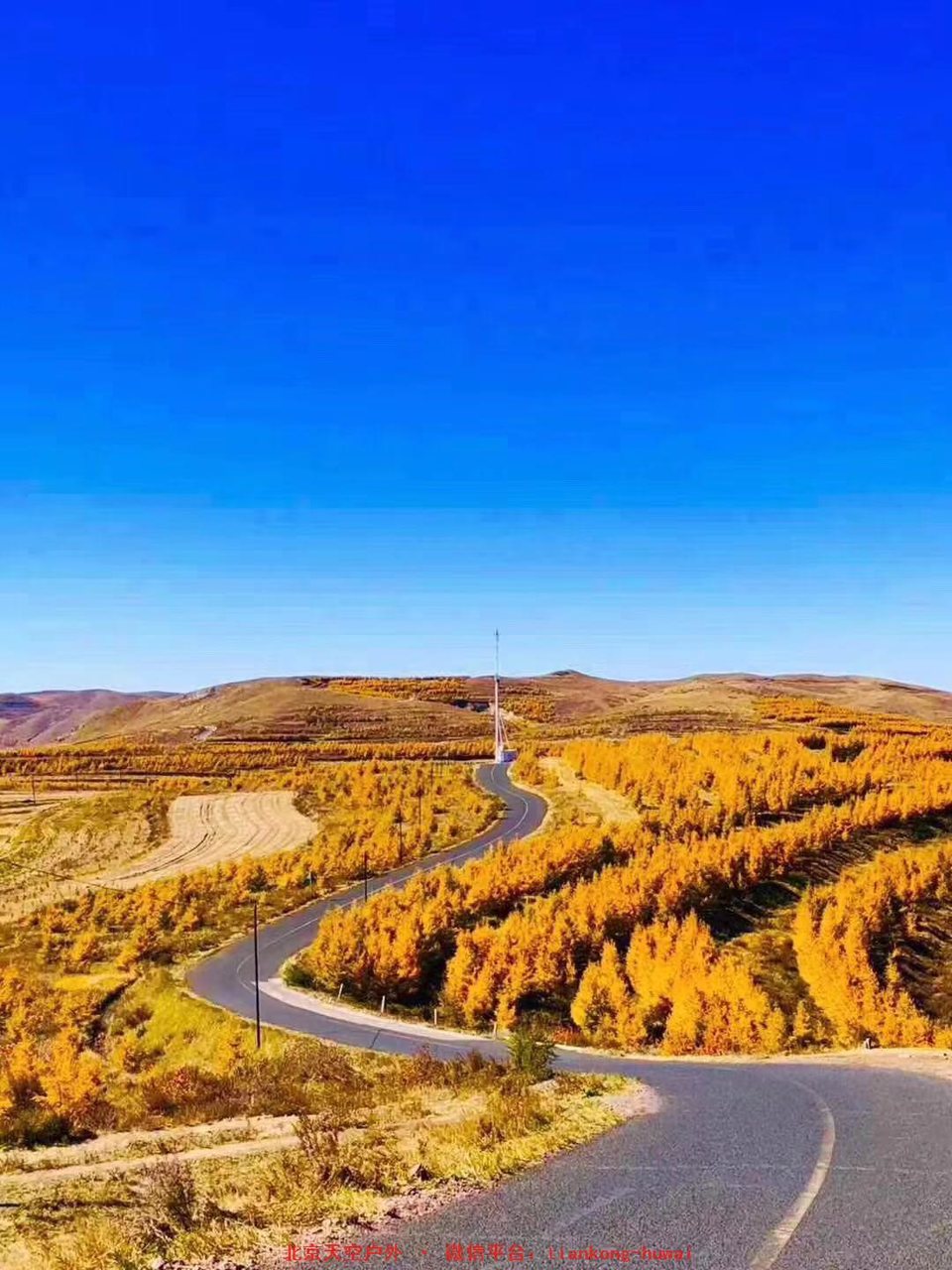 a865ed6efe0eb3031861a1fe11feadc