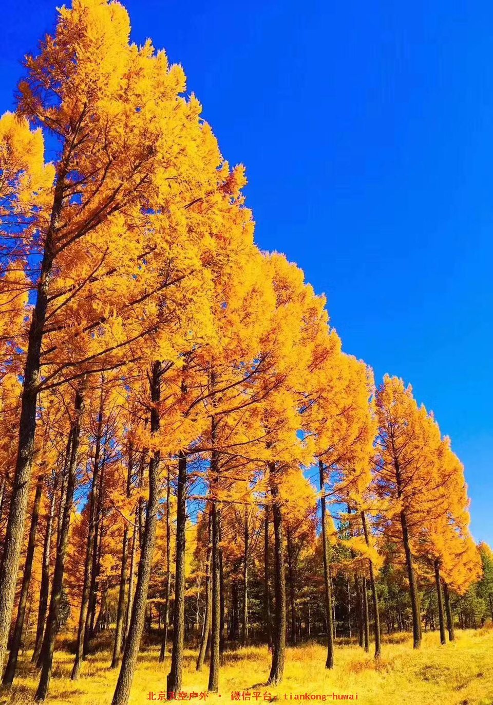 e27c346c1e6bf1866f74280d01e71a6