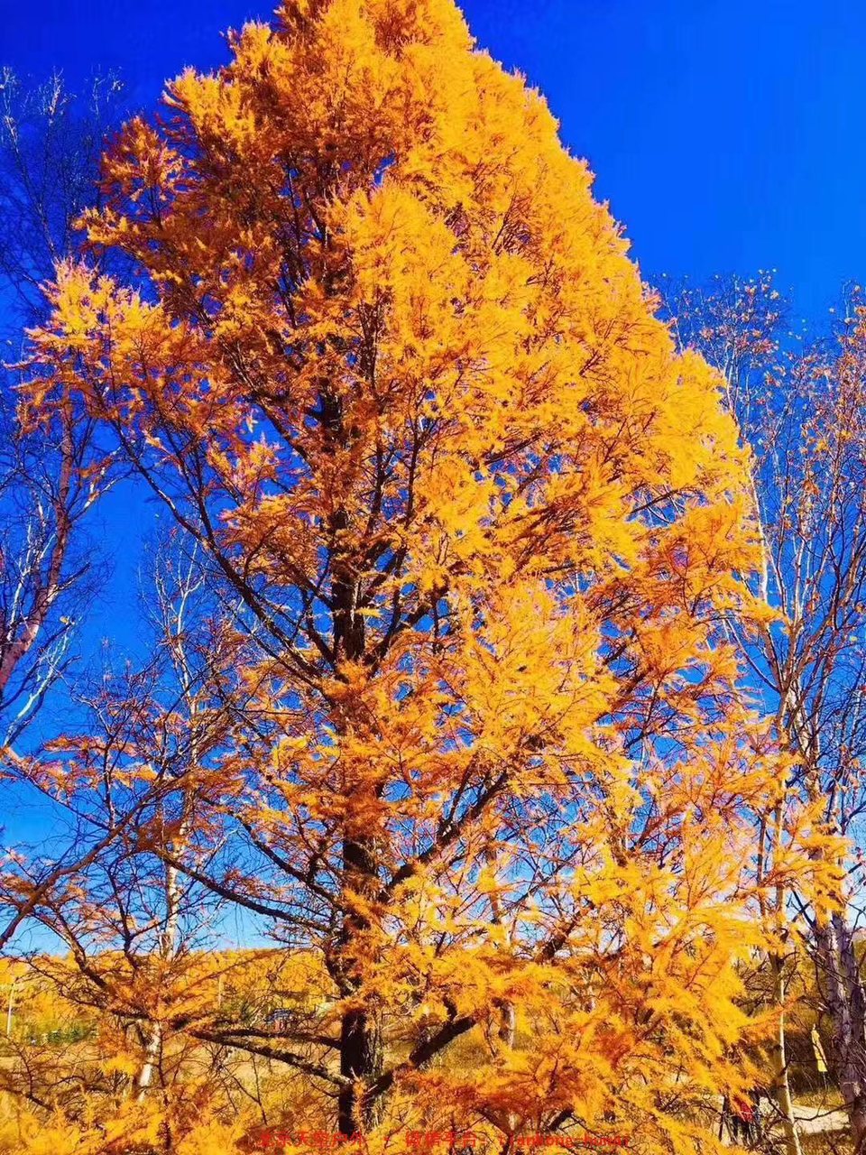 f493cde970603e3e43f9021662152e9