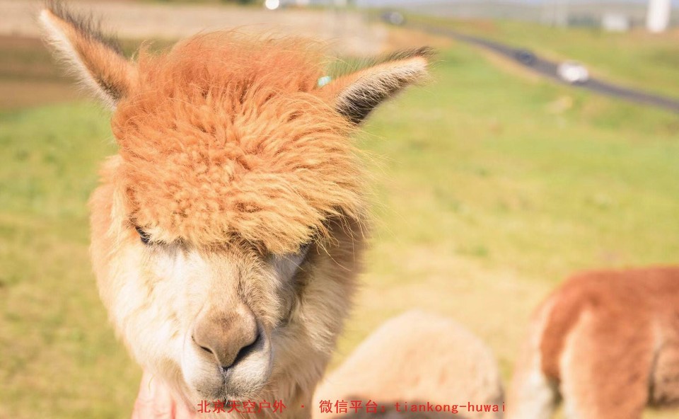 2c3fa136d015bb0f11667eec8c516c6