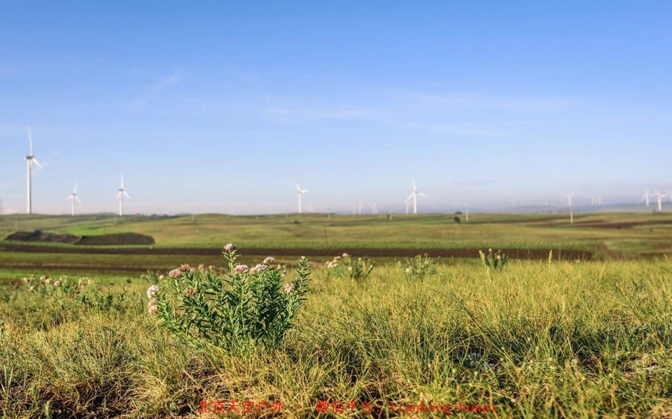 43eb913ec45051775a5ce07cd05560c