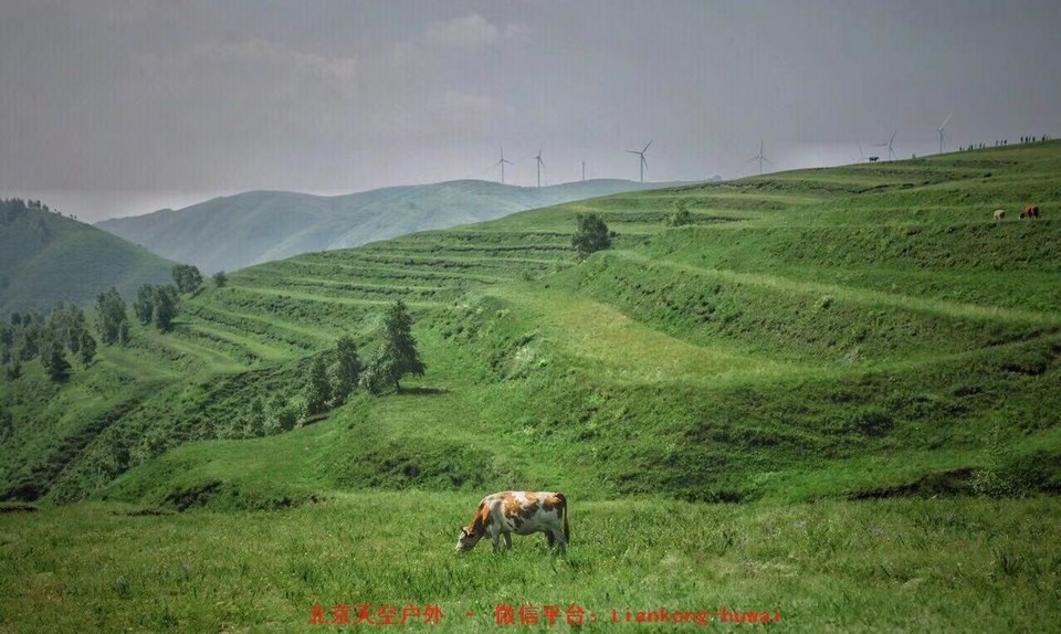 556b88b74d96e1ab69f83bcc049eb86