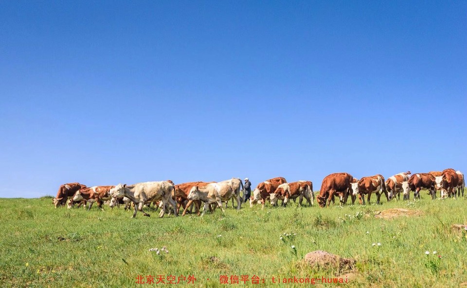 946cc830623564cfba58d22b0cff49b