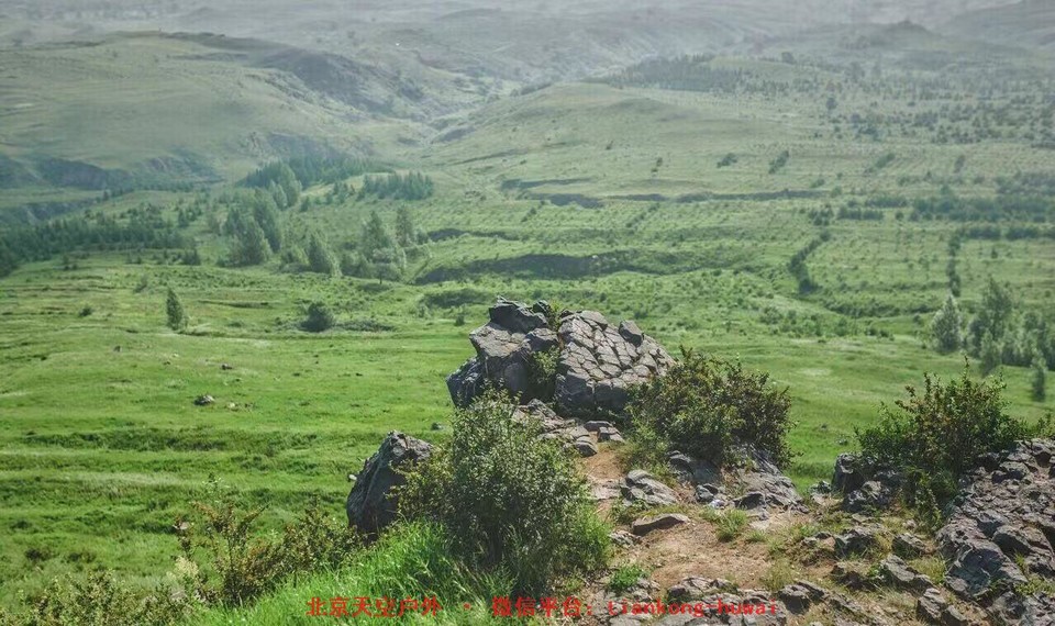 984859e369902450e910815a787358d