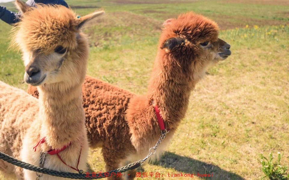 624001d55629d9a44577bd4c2f6f775