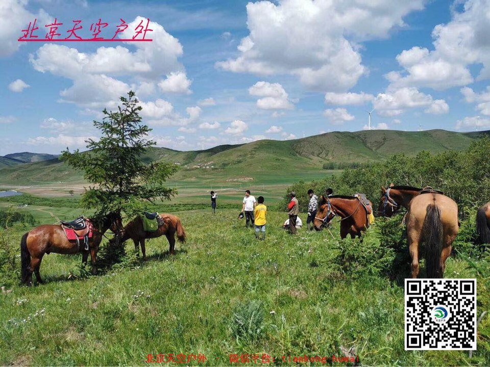 0a8f7b993ab321da3e659d152fd2174