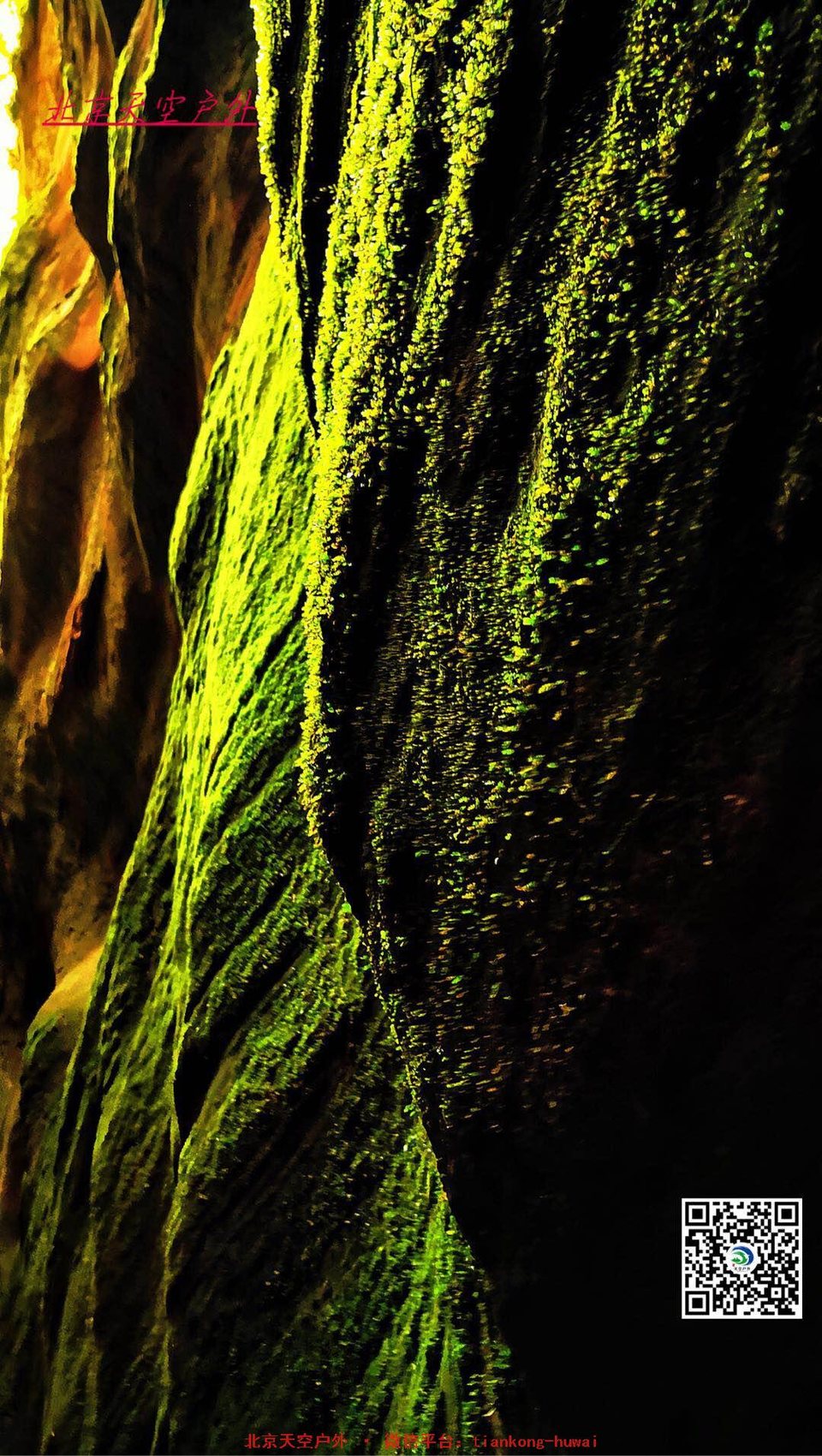 8e6aae640c559a2f4194b5d3a801158