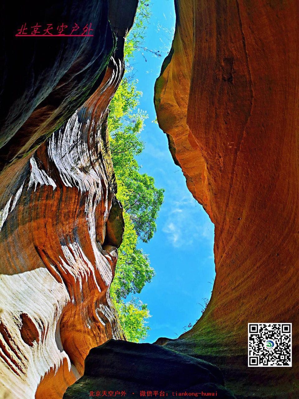 196e428f2779a7da147c7031cd74c7f