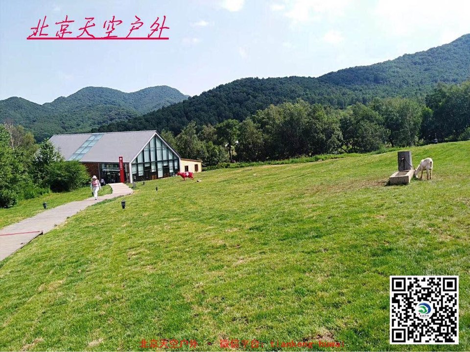 e8cb215efbad0384a53c6672c4665b1