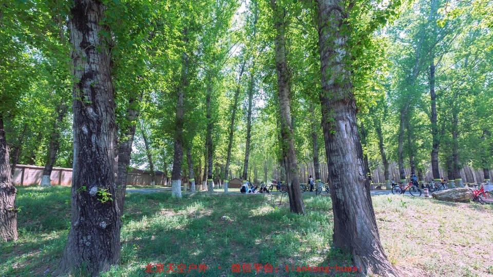 02390c9e8428e75385907120eec65de