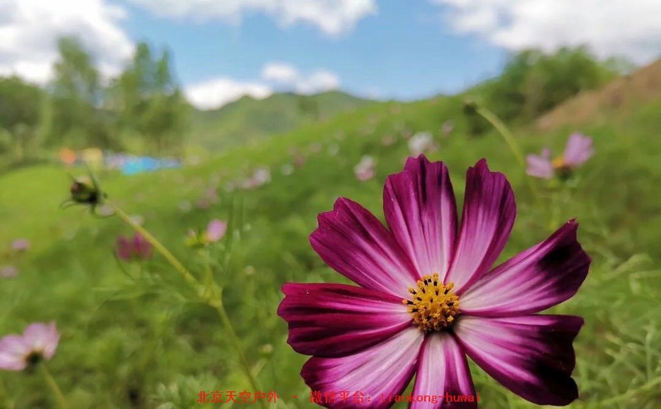 3bf5395eaa1f6ea46b8c7162504b684