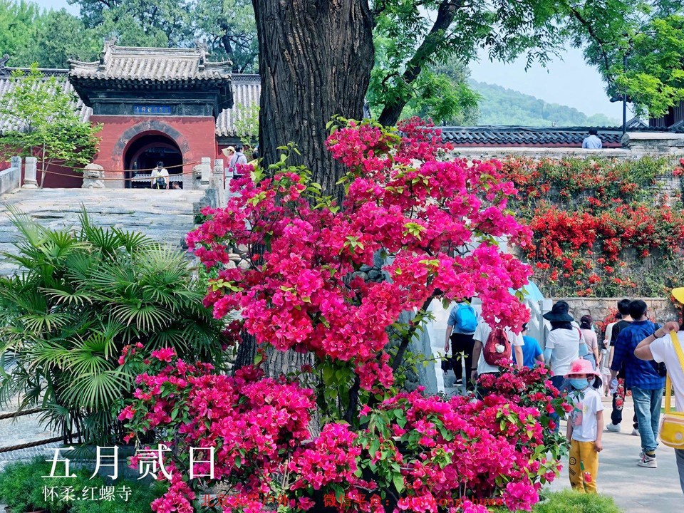 1d3e9efe64de4adba8e6f6573e221b9