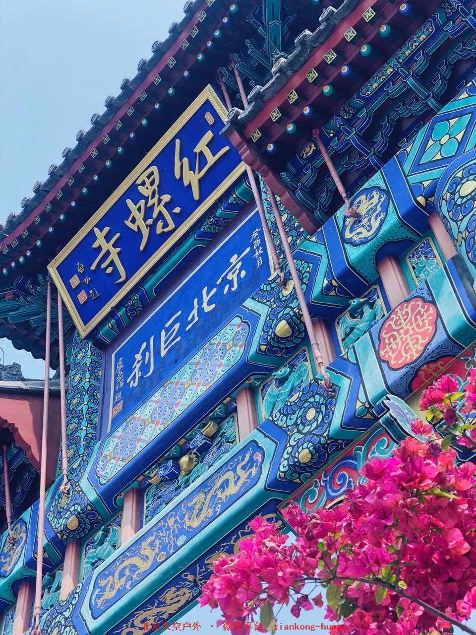 9e3ac10df552a5fba6b024f5cbbd2f3