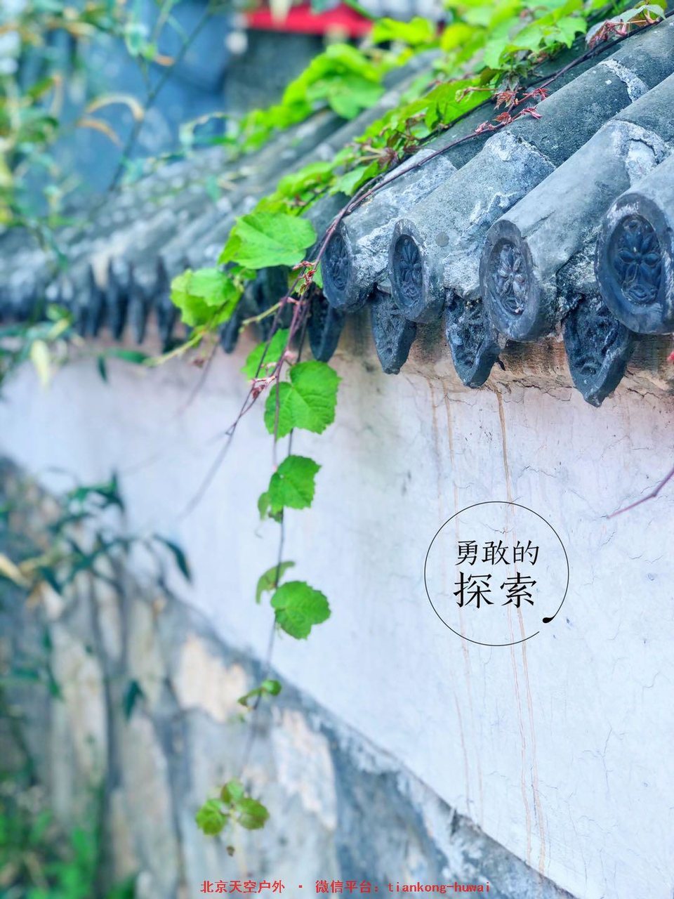 938da1032569f47f4349786b22ad239