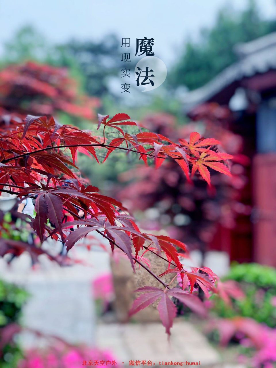 bb97978715de20e139c0d986d1bdc78