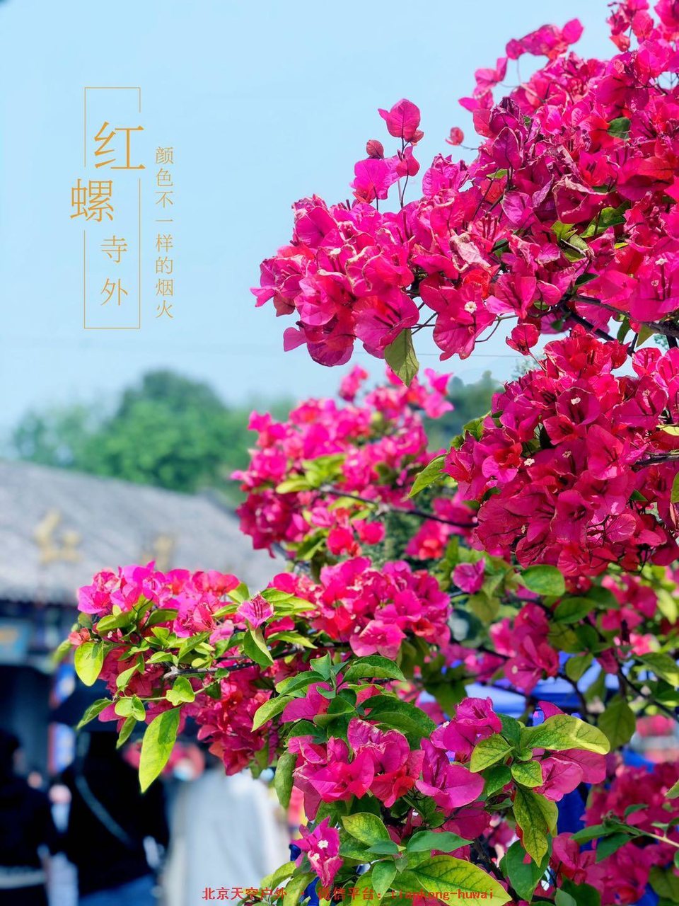 da9b9e8ffc0fccbf6f06faf179addab