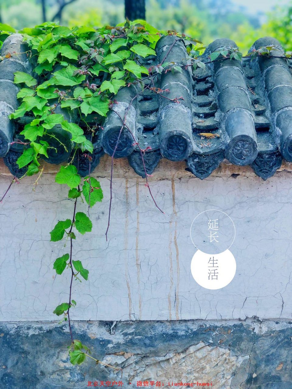 fed45bea86001a81ef6cadab6a2c9f7