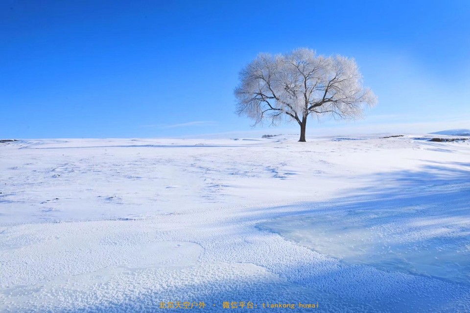 8F3DF86E-0885-4DFC-BEDE-998F108A7C33