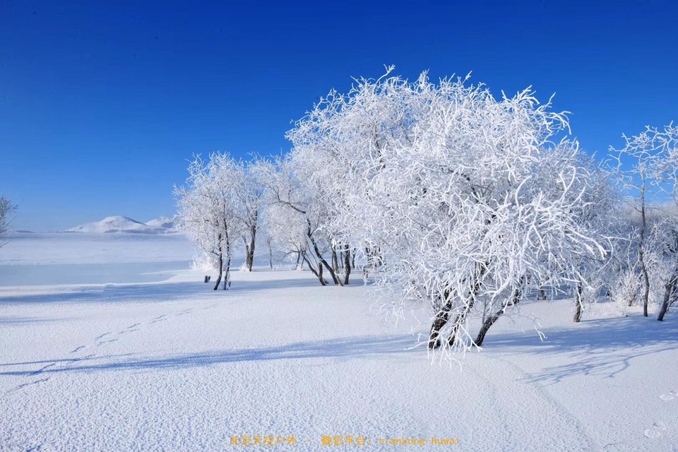 B024C45D-AF55-42FE-8A80-C9E439517534