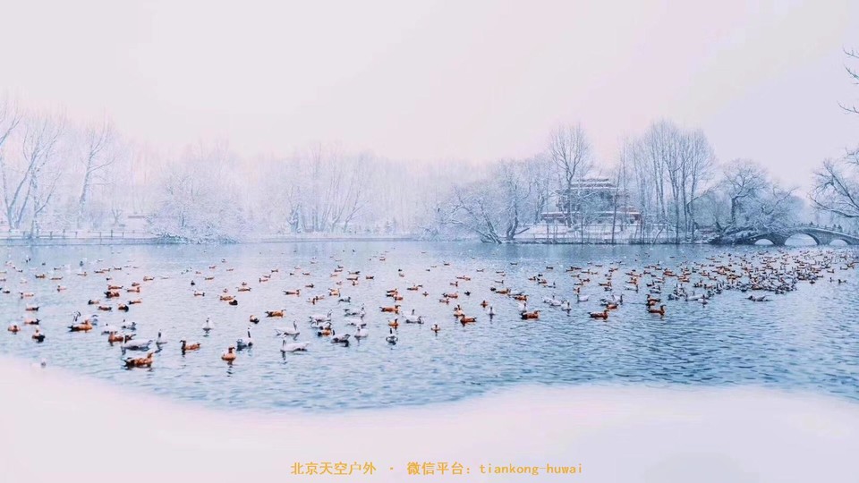 DE8AF421-BFC0-49B3-950D-9DA6918FD275