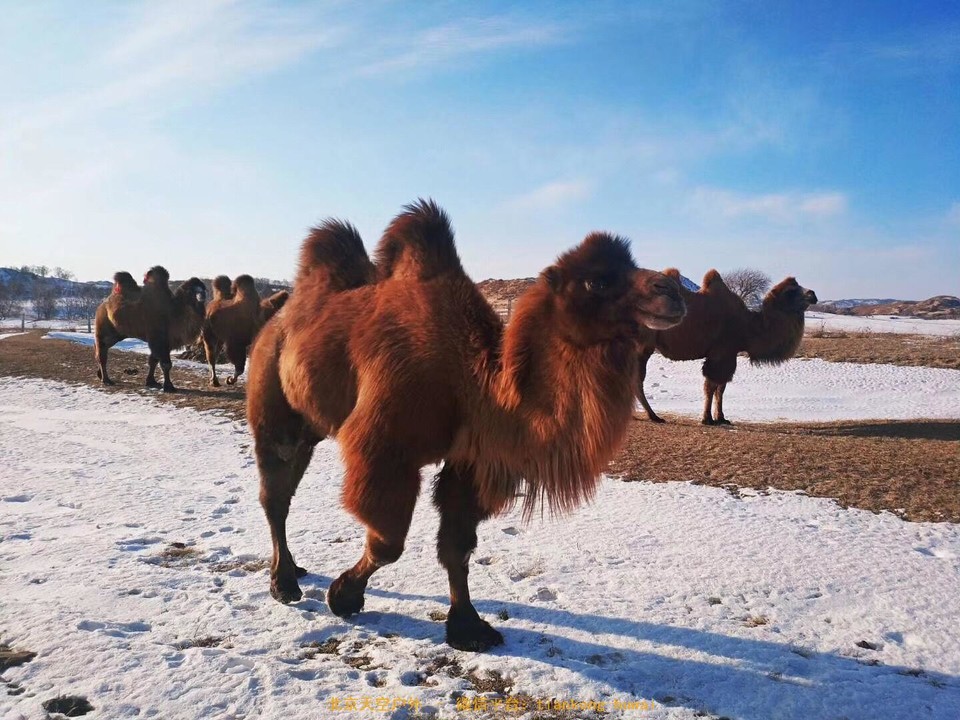 71CE6368-9AA6-4BB2-956E-8A807ABFD741