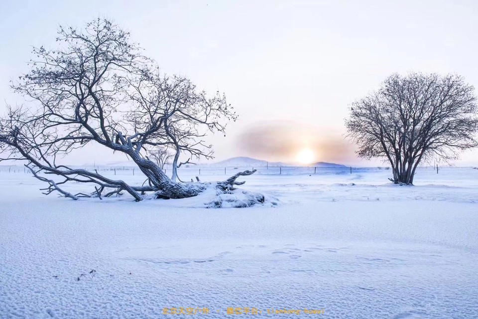 DD7EA1CA-EF7F-4BD2-A5E5-7628C00BA2C9